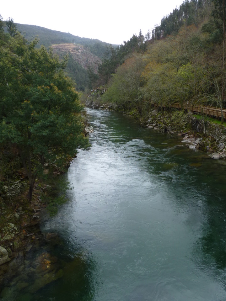 Paiva (14).JPG Paiva (14).JPG