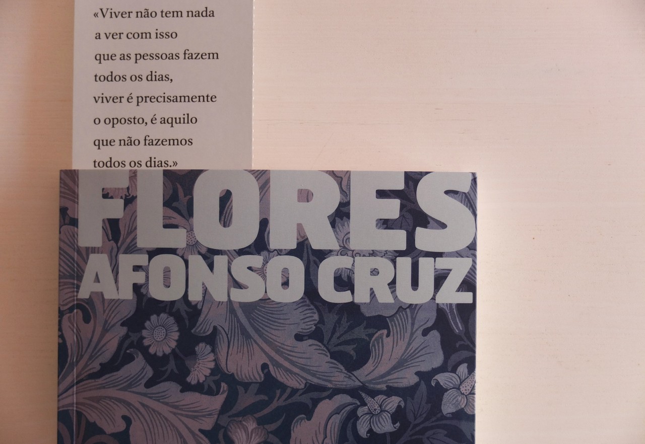 Flores de Afonso Cruz.JPG