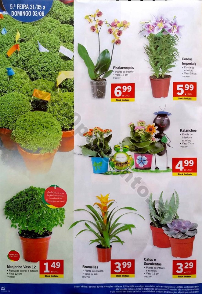 lidl 28 maio a 3 junho_22.jpg