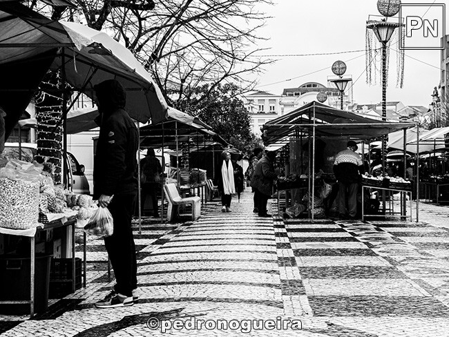 Jan_2023_008 650px.jpg