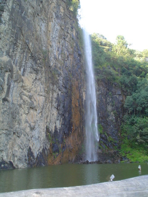 2006 JUNHO CURITBA 037.jpg