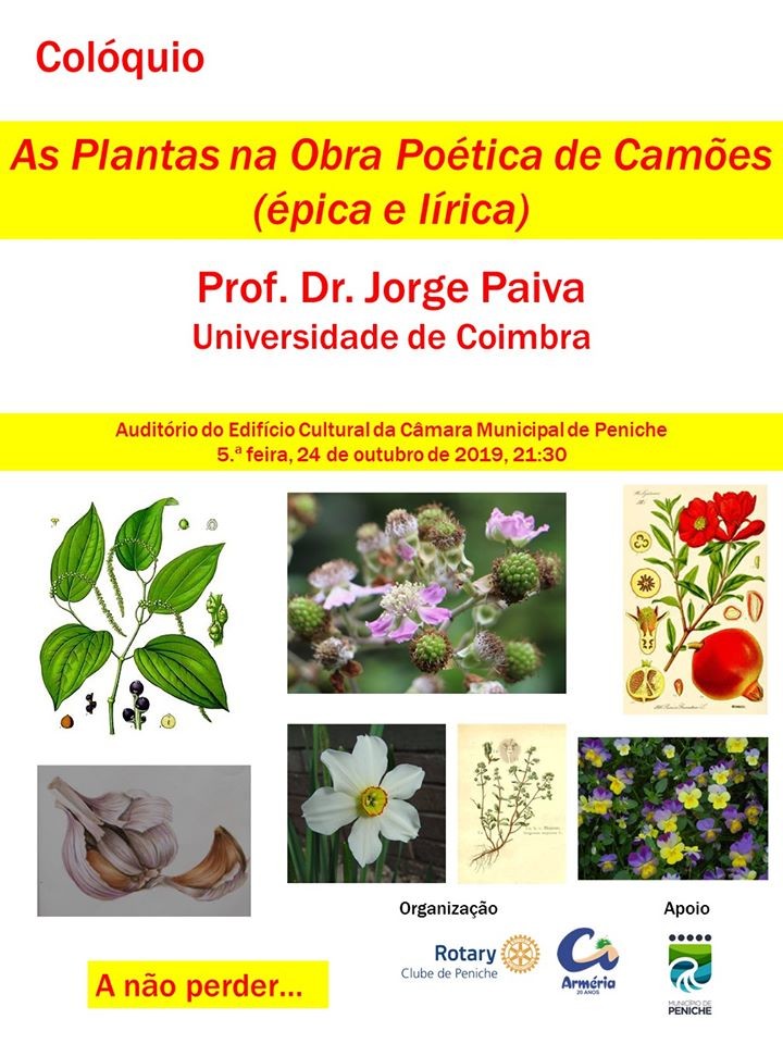 Palestra do Snr. Prof. Jorge Paiva.jpg