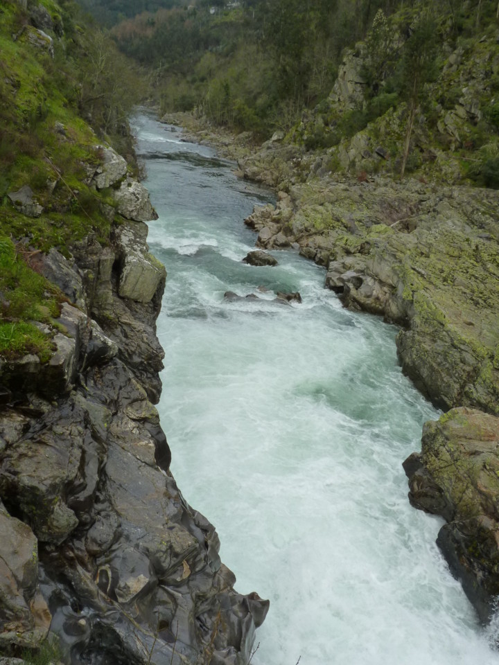 Paiva (16).JPG Paiva (16).JPG