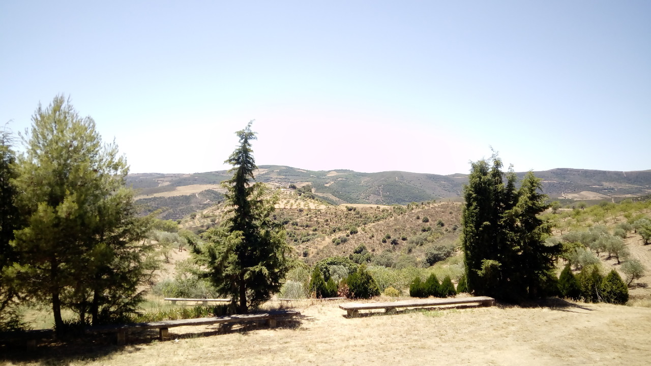 IMG_20170701_135105.jpg IMG_20170701_135105.jpg