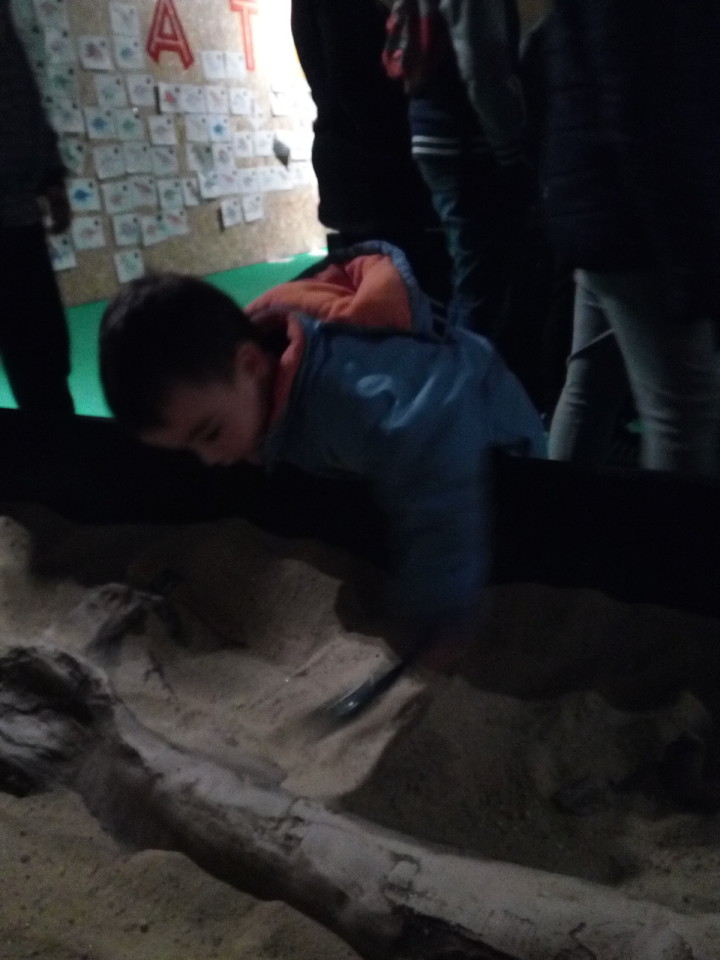 IMG_20171218_162639.jpg IMG_20171218_162639.jpg