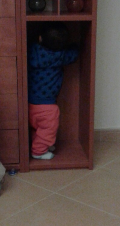 2016-01-18 10.55.21.jpg 2016-01-18 10.55.21.jpg