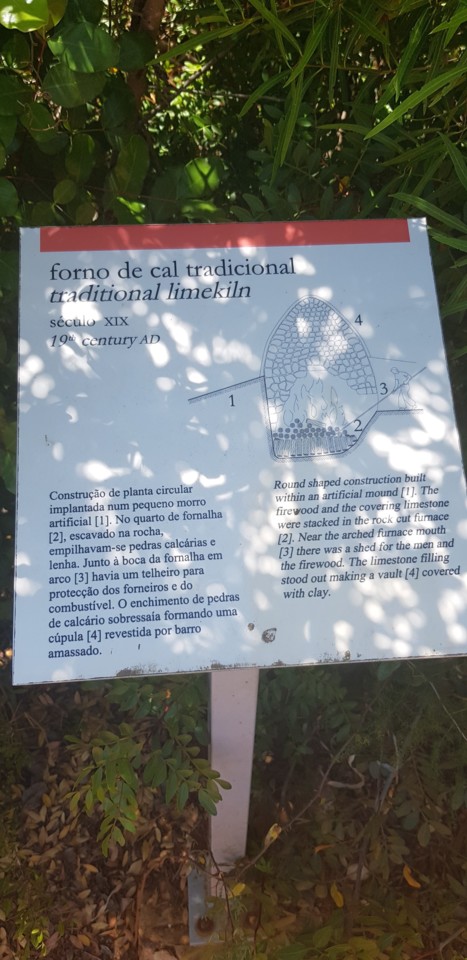 36373779_10210109832257094_6668991833000902656_n.j