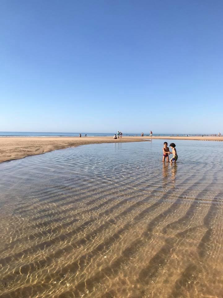 22279463_1523445717750065_8285605128911254307_n.jp 22279463_1523445717750065_8285605128911254307_n.jp