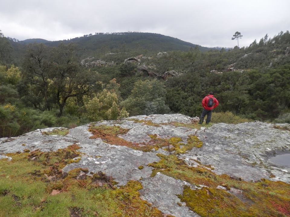 12189628_1147737895237800_5990032593453361607_n.jp 12189628_1147737895237800_5990032593453361607_n.jp