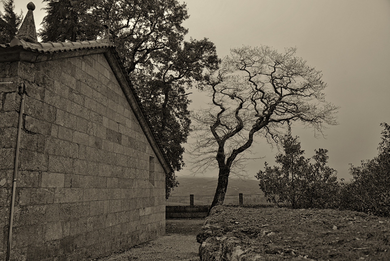 montalegre+matança abobeleira 2014 027 - Cópia (