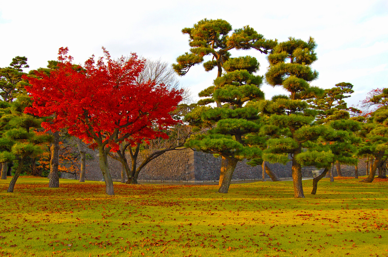 Jardins do Castelo de Osaka