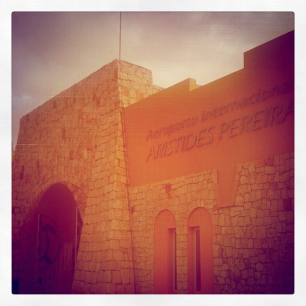 IMG_0469 cópia.jpg IMG_0469 cópia.jpg