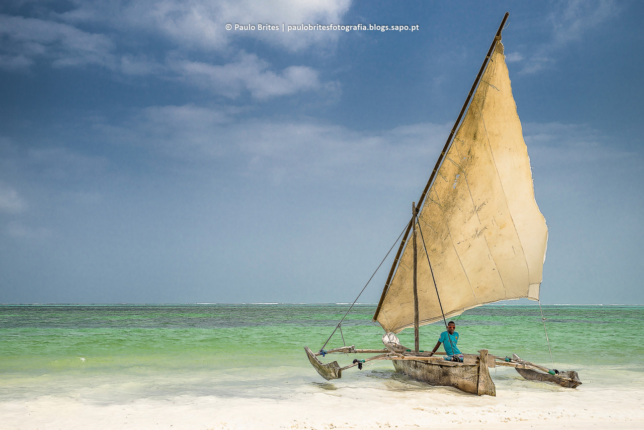 DSC_11317-1-3.jpg DSC_11317-1-3.jpg