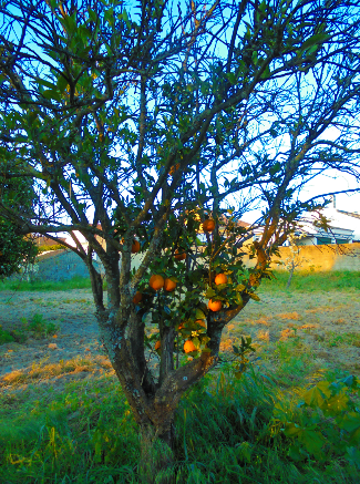 Sem Título102 (2).png