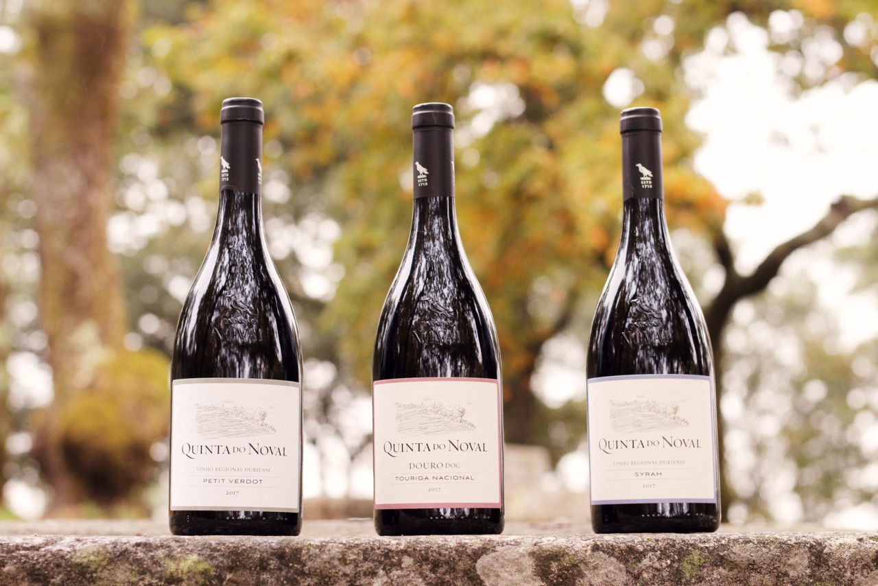 Noval Monocastas 2017