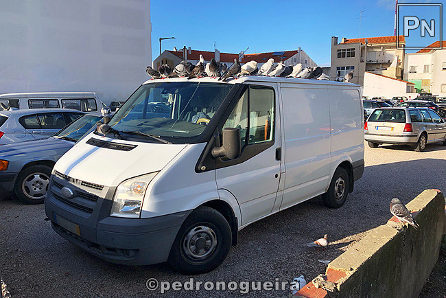 Out_2019_042a 650px.jpg