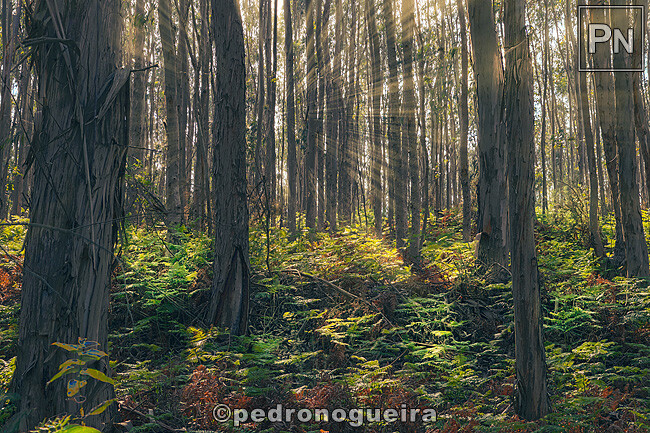 Mai_2022_001a_e 650px.jpg