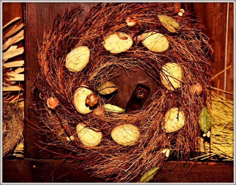 _MG_0097 ovos de pascoa.jpg _MG_0097 ovos de pascoa.jpg