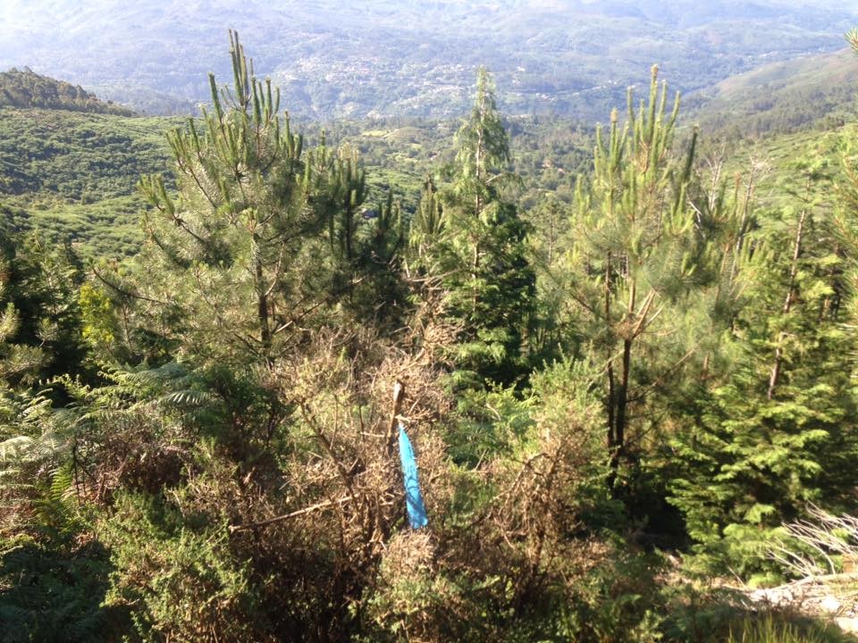 13445222_1228667727150968_8189140001370610880_n.jp