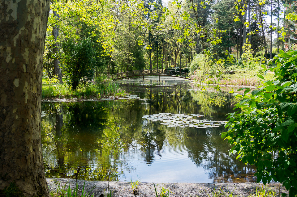 DSC02025.jpg DSC02025.jpg