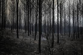 images.jpeg images.jpeg