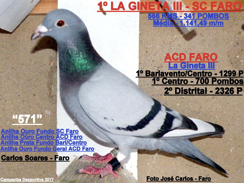 Carlos Soares - Faro 004.JPG