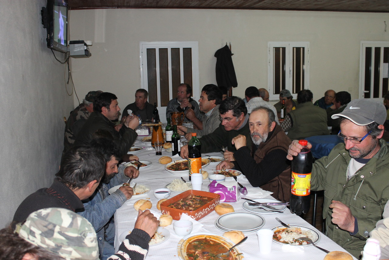 IMG_7382.JPG IMG_7382.JPG