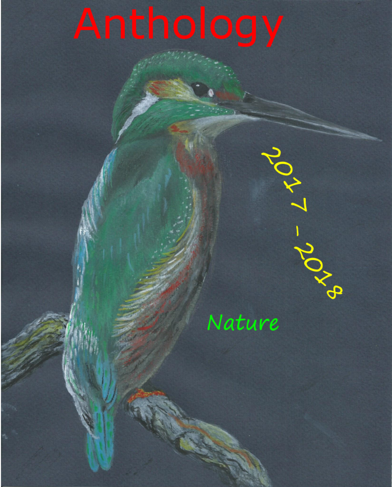 PassaroCapaAntologia 2017 2018 Eng.png