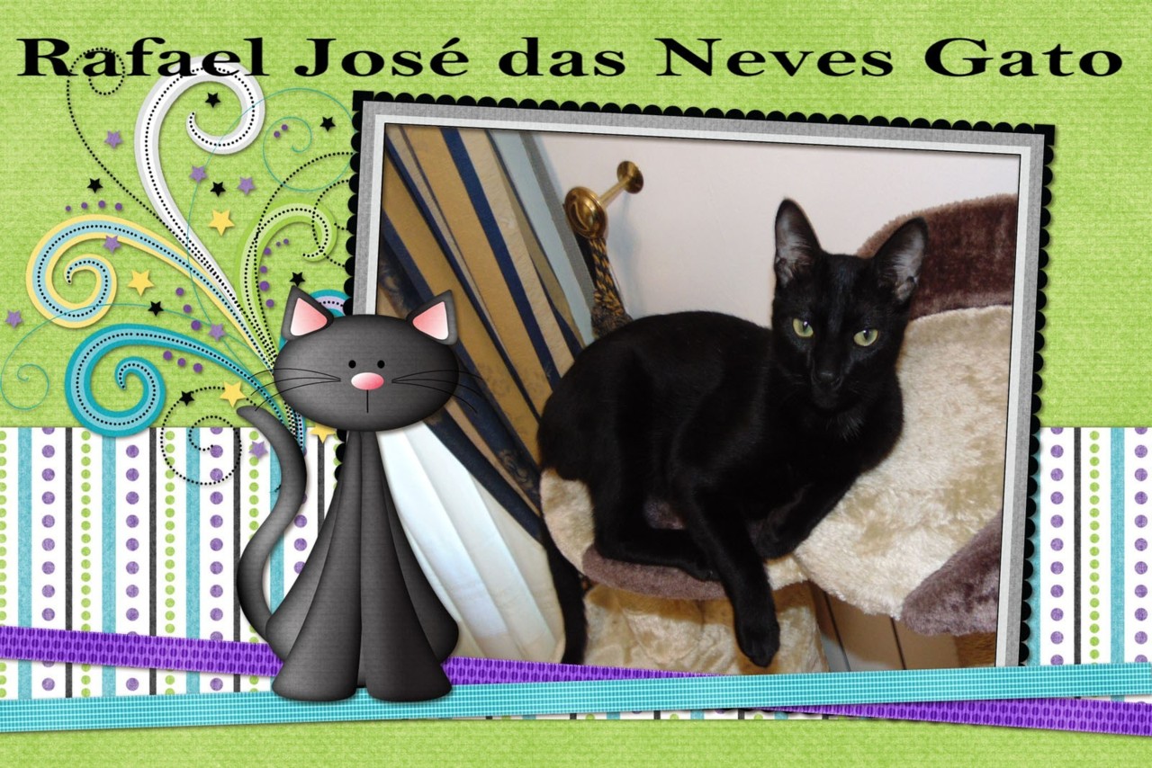 rafaelgato.jpg
