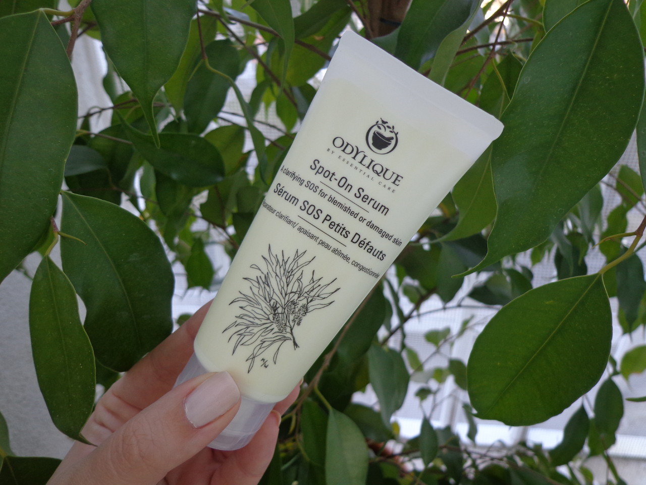 DSC03276.JPG DSC03276.JPG