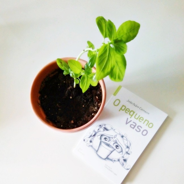 O Pequeno Vaso de João Carneiro.jpeg