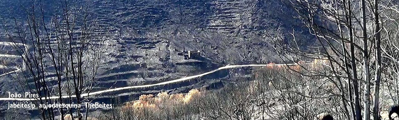 Da Nacional 18     4.jpg