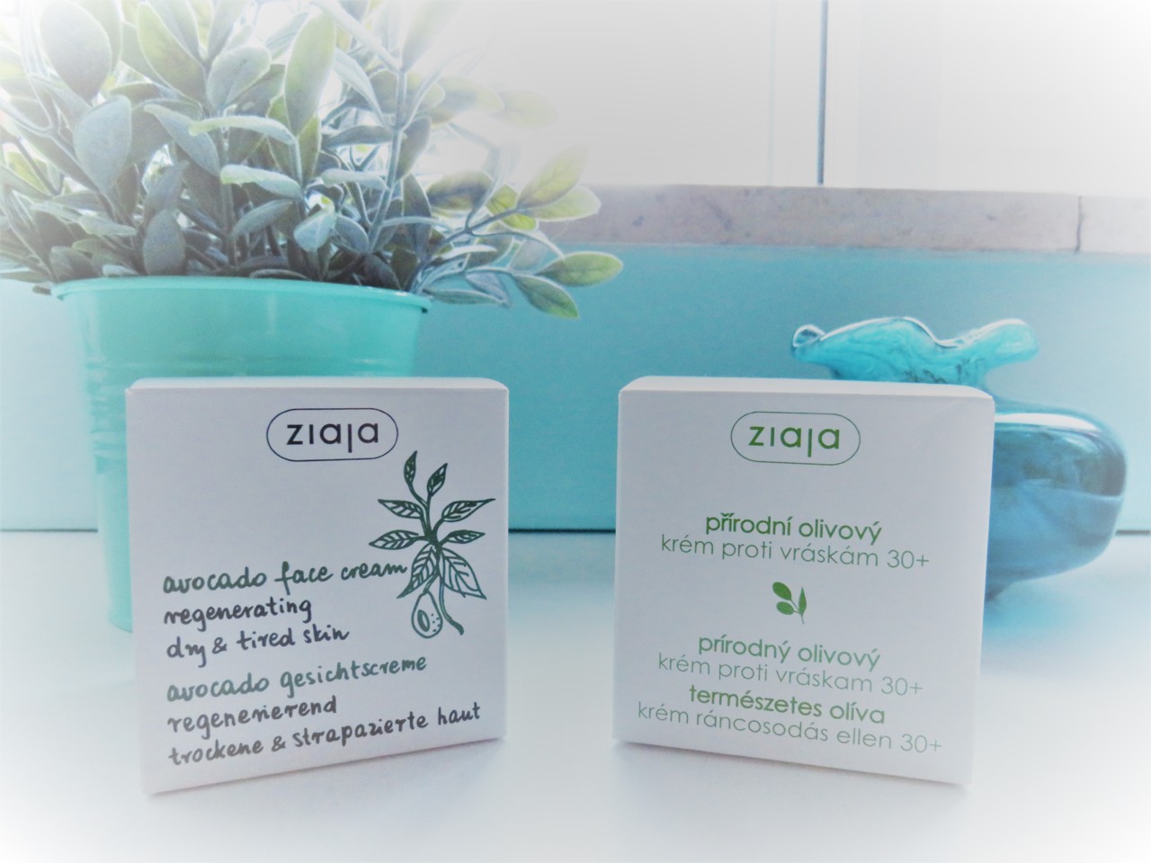 IMG_0065.jpg IMG_0065.jpg