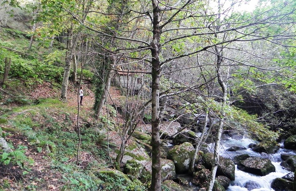 10714183_10203379897835140_7032698399126533595_o.j