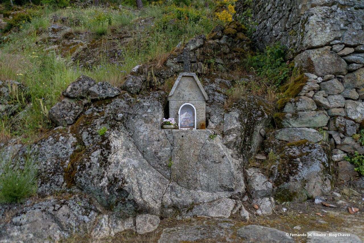 1600-romainho (6).jpg