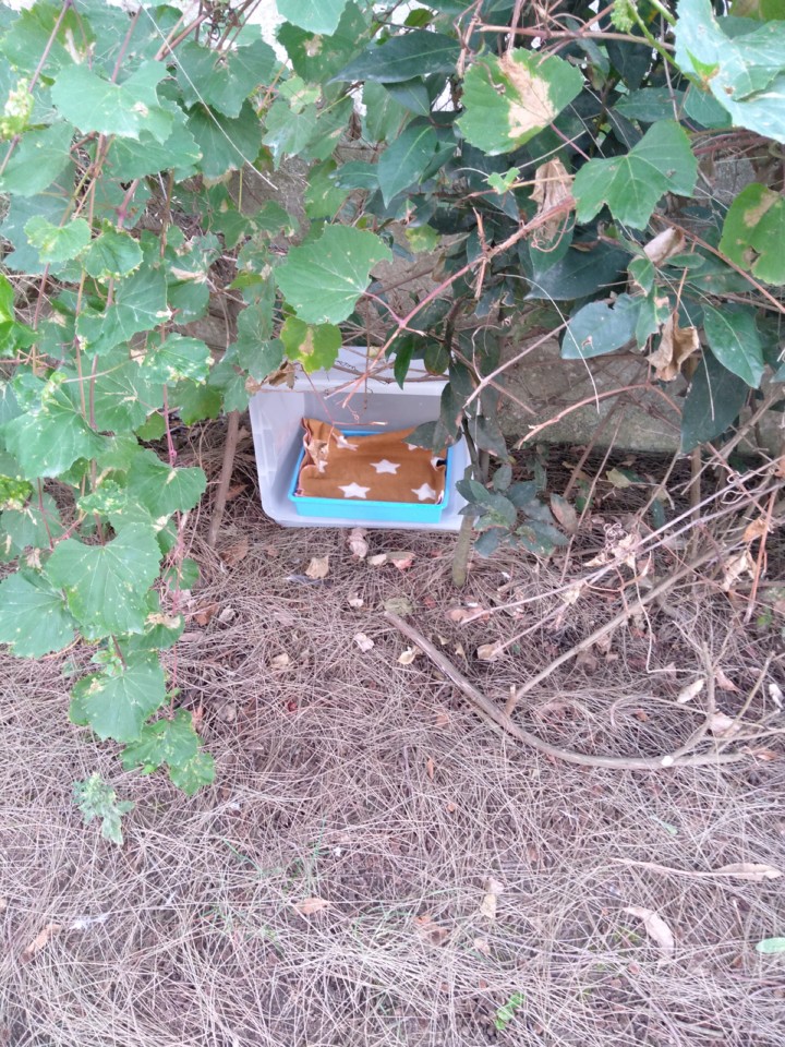 abrigoPanterinha.jpg abrigoPanterinha.jpg