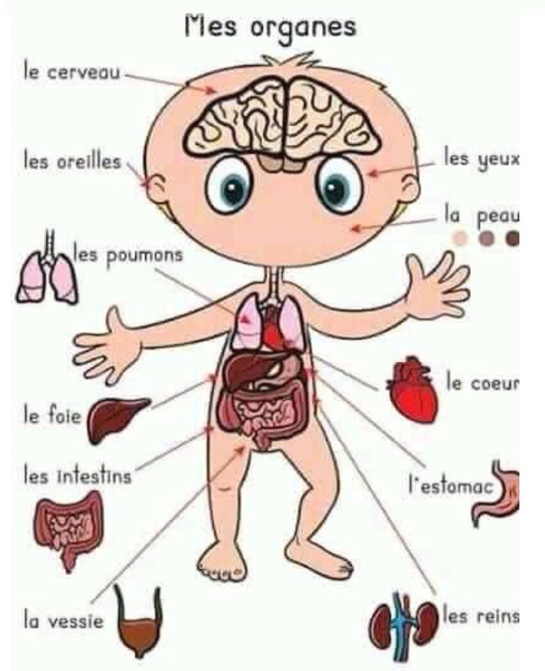 IMG_0768.JPG IMG_0768.JPG