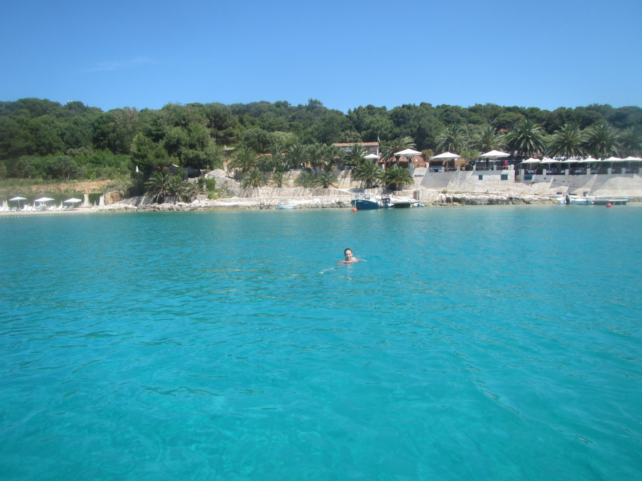 IMG_0481.JPG IMG_0481.JPG