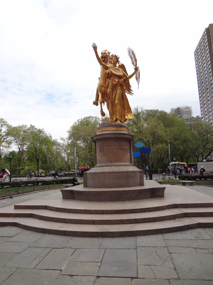 Central Park com 5ª Avenida NYC