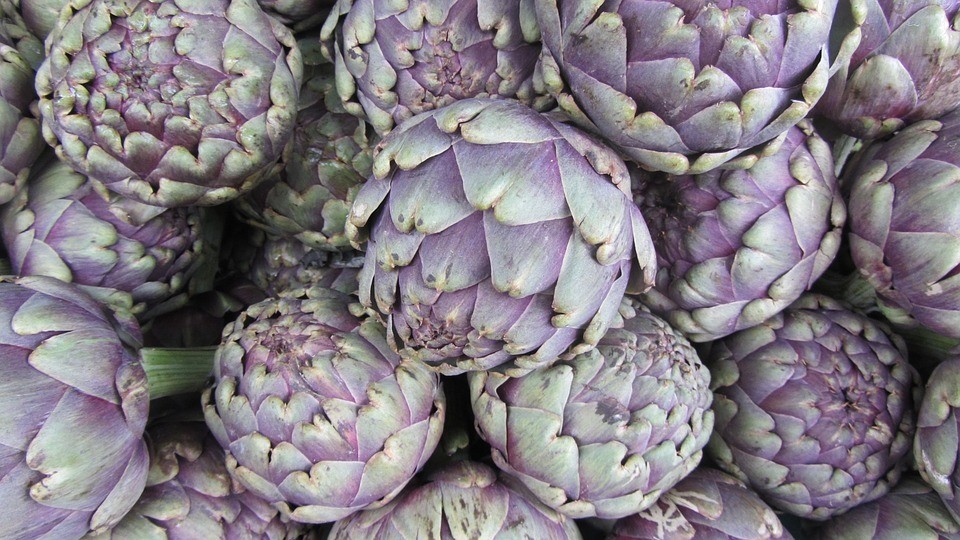 artichoke-267974_960_720.jpg