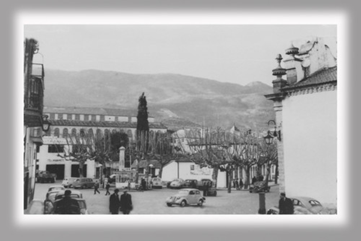 740.......500x500 (15).png 740.......500x500 (15).png