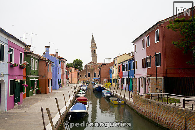 _MG_1176 650px.jpg _MG_1176 650px.jpg