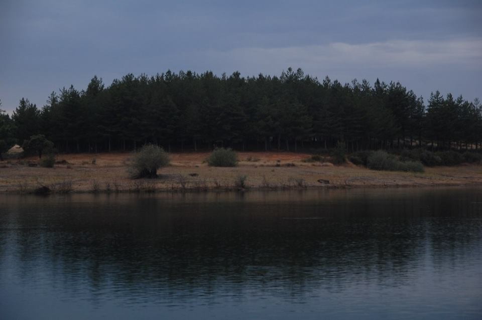 19260783_10208618932742659_4062275057198567108_n.j