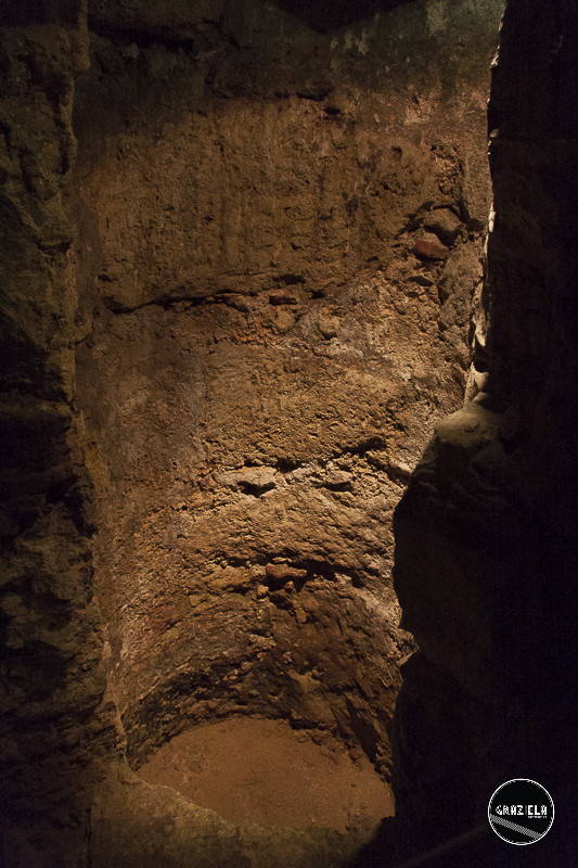 _MG_9722-20.jpg _MG_9722-20.jpg