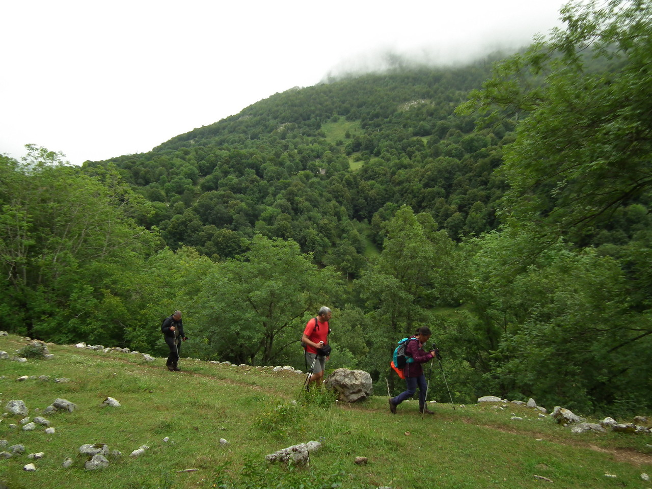 DSCF3022.JPG DSCF3022.JPG