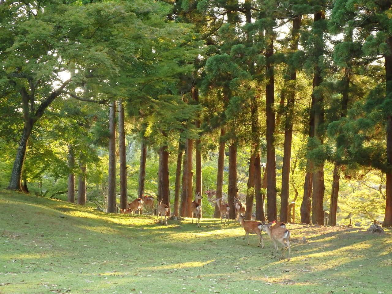 P6091871.JPG P6091871.JPG