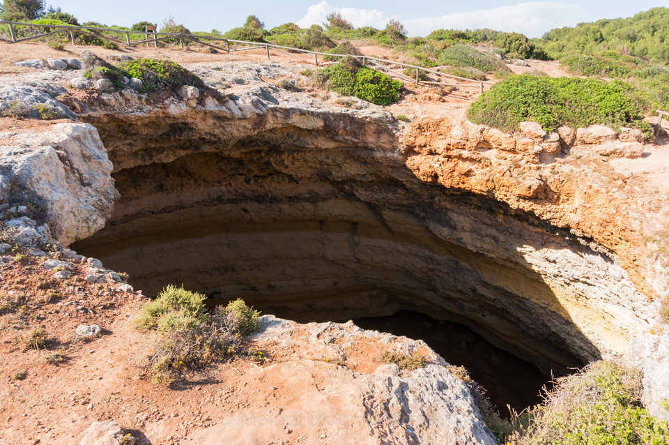 DSC09993.jpg DSC09993.jpg