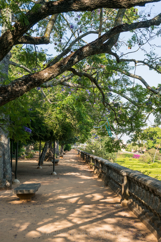 DSC00108.jpg DSC00108.jpg