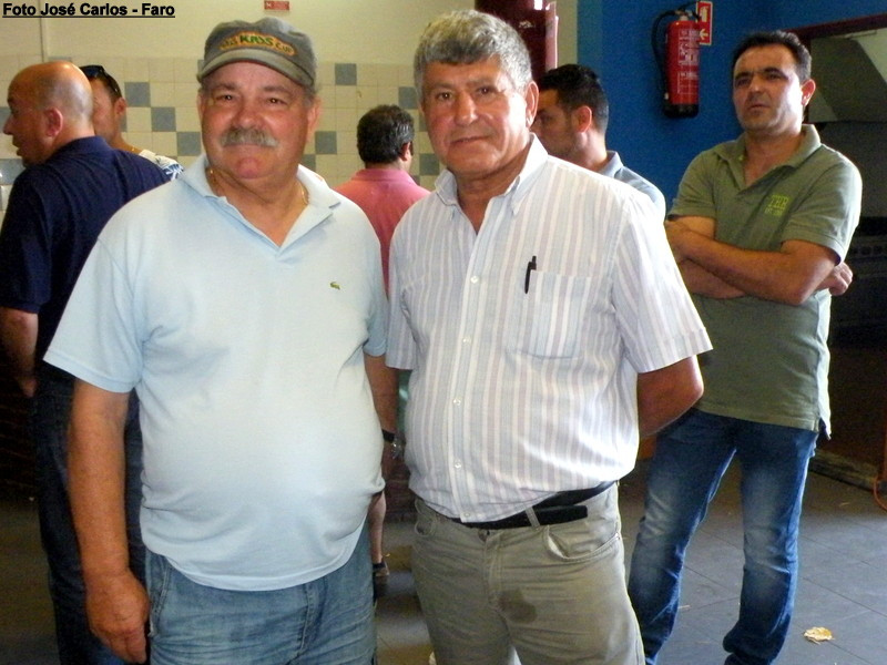 Leilão Ervidel 026.JPG