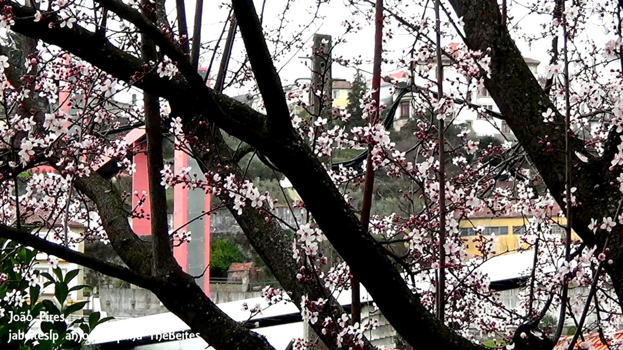 Ponte e elevadores da Covilhã2.jpg